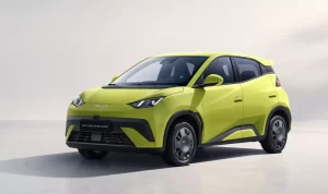 BYD Dolphin Surf