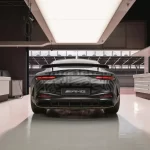 AMG GT APXGP Edition
