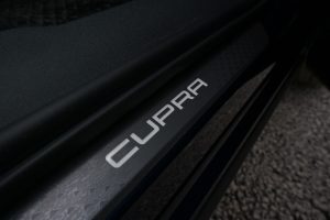 Тест Cupra Terramar 2.0 TSI 4WD DSG 204 HP Динамика со рационална основа