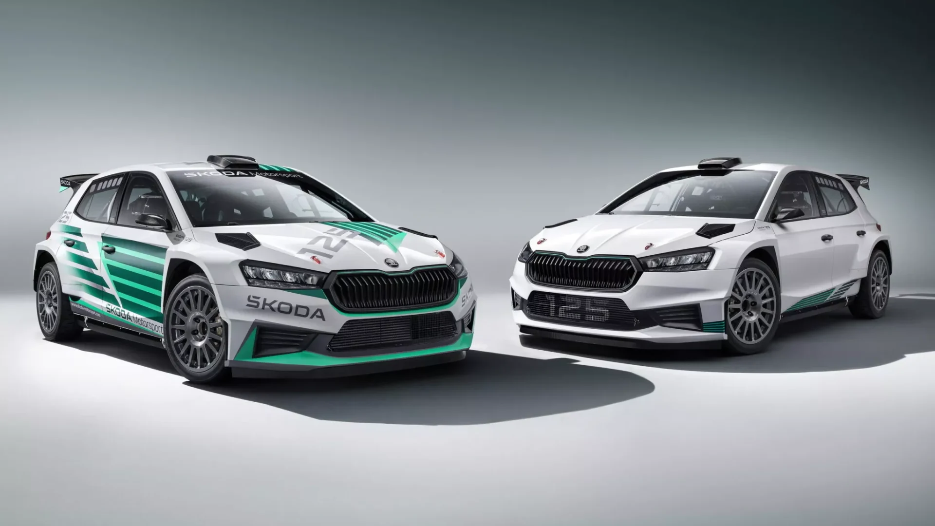 Skoda Fabia RS Rally2 125 Years Anniversary Edition