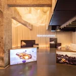 Hyundai Ioniq Earth Venus