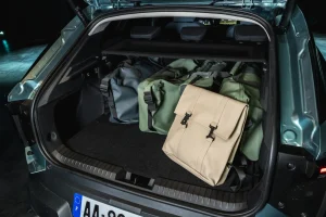 Dacia Striker