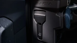 Dacia Striker