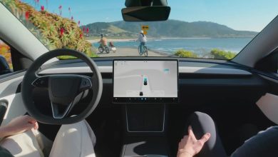 Tesla FSD